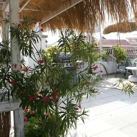 Feshevi Pensjonat Kiten (Burgas)